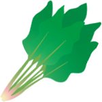 ほうれん草