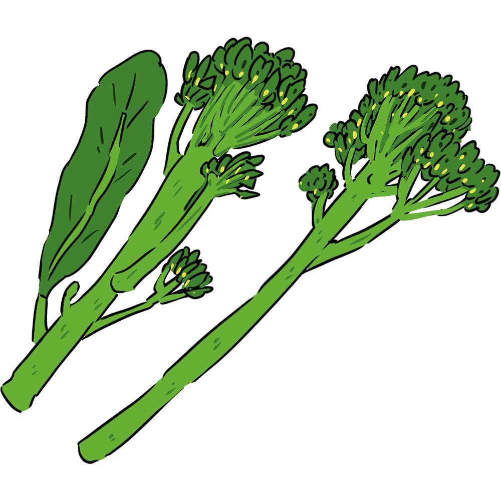 茎ブロッコリー